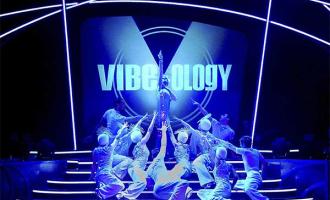 Vibeologija