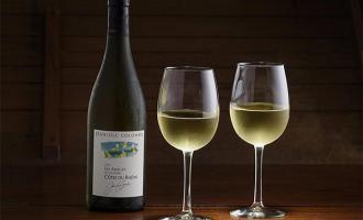 Degustacija vina