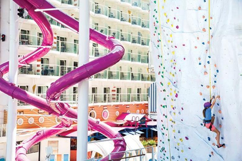 Rock Climbing Wall